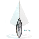 Torpedo C/Haste
